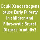 Xenoestrogens cause Early Puberty in Children