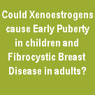 Xenoestrogens cause Early Puberty in Children 